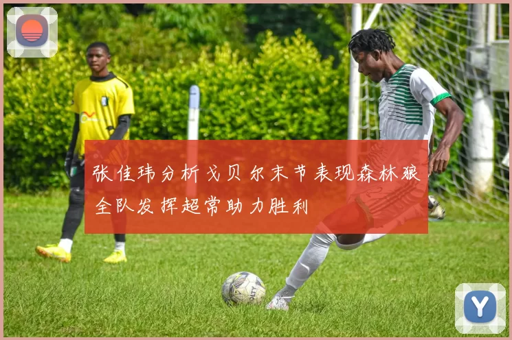 张佳玮分析戈贝尔末节表现森林狼全队发挥超常助力胜利